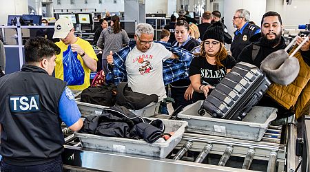 What Thanksgiving food dishes will TSA allow on flights?