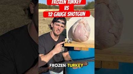 Specialty shotgun rounds vs frozen turkey