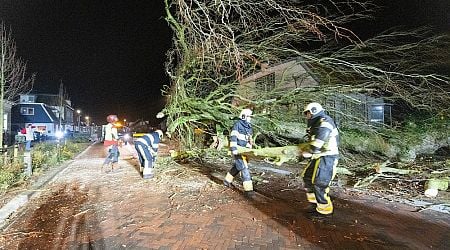 Woman killed by falling tree as storm Conall battered the north