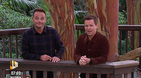 I'm A Celebrity fans furious after Ant and Dec 'try to help' Tulisa in gruelling trial