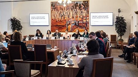 The importance of investing in childhood: experts meet to discuss a path forward in Czechia