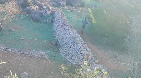  [WATCH] BirdLife reports separate incidents of illegal hunting at Buskett and Comino 