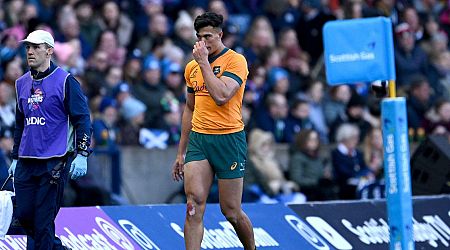 Joe Schmidt able to pick new Wallabies superstar for showdown with Ireland at Aviva Stadium