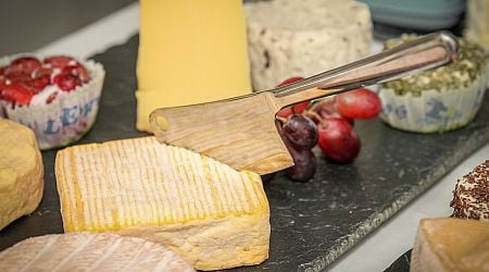 Hungarian Products Recognized at the World Cheese Awards