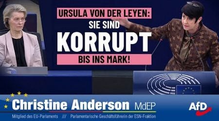 Ursula von der Leyen - Sie sind korrupt bis ins Mark!