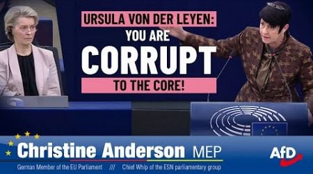 Ursula von der Leyen - You are corrupt to the core!