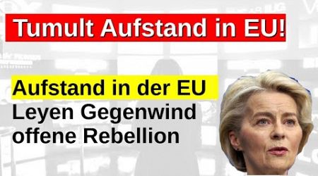 Aufstand und Tumult gegen von der Leyen im EU Parlament SPD rebelliert Meloni setzt sich durch AfD