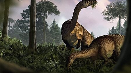 Deep Inside Fossilized Dino Vomit and Poop, Scientists Unearth a Jurassic World