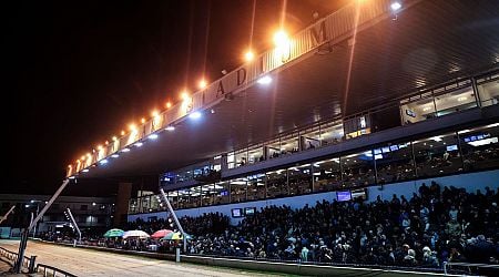 Top quality racing in Shelbourne Park as Bockos Diamond crowned BoyleSports Irish Greyhound Derby champion