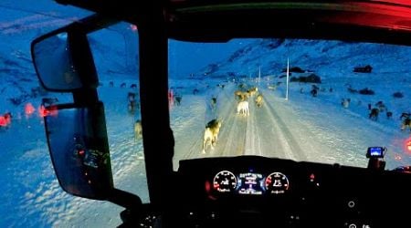 POV Driving Scania S560 - Norway RV.52