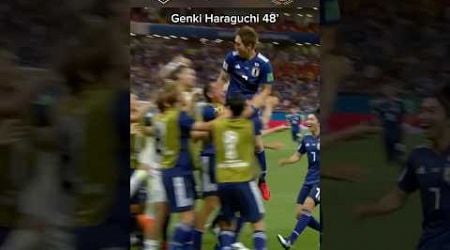 Japan - Belgium 2018