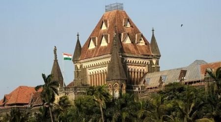 Bombay HC Declares 'Mochi' As Well-Known Trademark, Issues Interim Injunction Against 'DesiMochi'