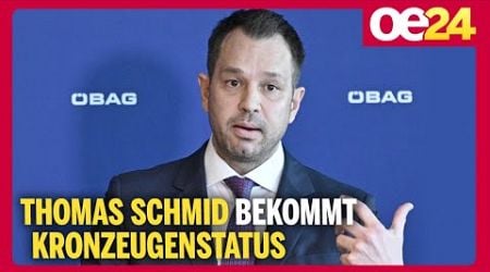 Thomas Schmid bekommt Kronzeugenstatus | Isabelle Daniel