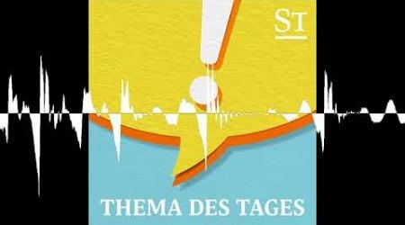 Wie Thomas Schmid zum Kronzeugen gegen Sebastian Kurz wurde - Thema des Tages