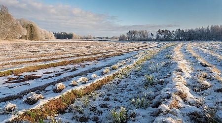 Cooler weather expected mid-next week in Latvia