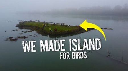 We Built These Islands to Save Birds from Extinction