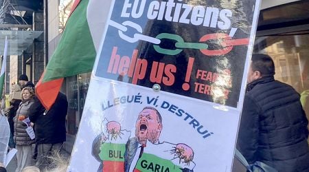 Bulgarians Rally in Brussels, Demand EU Support over Political Situation in Bulgaria