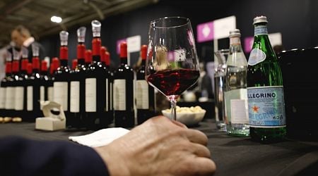 Wine Forum at Sofia Inter Expo Center Showcases Over 600 Wines