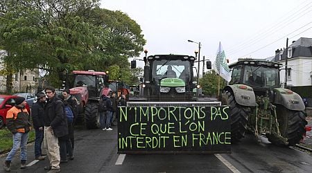 French farmers gear up for protests in push for talks with PM Barnier