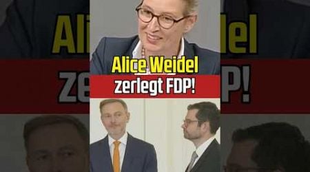 Die Umfaller-Helden der FDP werden von #aliceweidel zerlegt!