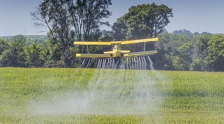 Man from Noord-Brabant arrested for selling illegal pesticides to customers in Europe