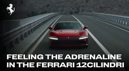 Ferrari 12Cilindri | Turning up the adrenaline in Croatia