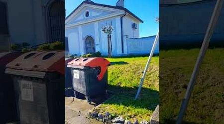 Uno strano cimitero #urbex #italia #slovenia #shorts