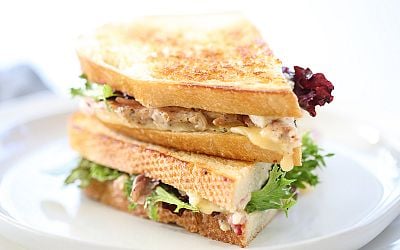 Turkey Cranberry Melt