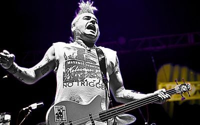 It's That Simple: These Are the Only 3 Types of Punk Bassists (and Iconic Examples)