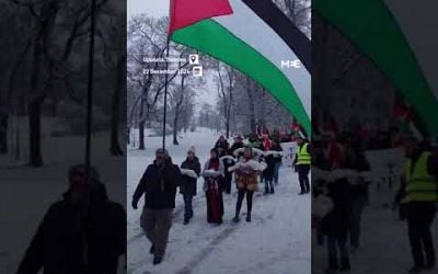 Rally held in Sweden honours Palestinian children