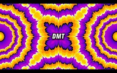 ENTER The Present Moment of NOW with this PINEAL GLAND DMT Activator