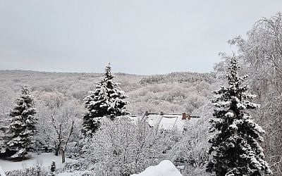 Preparing for White Christmas with Snowfall and Frosty Winds