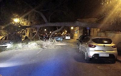 Hurricane winds of up to 140km/hr batter Mallorca: Palm trees are toppled while hundreds of incidents are reported