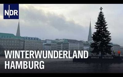 Alstertanne &amp; Co.: Hamburg in Weihnachtsstimmung | Die Nordreportage | NDR Doku