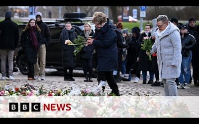 Magdeburg Christmas market attack suspect Taleb al-Abdulmohsen appears in court | BBC News