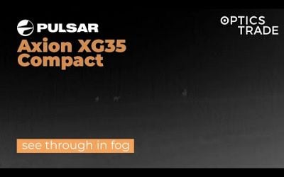 Roe Deer in dense fog with Pulsar Axion XG35 Compact | Optics Trade See Through