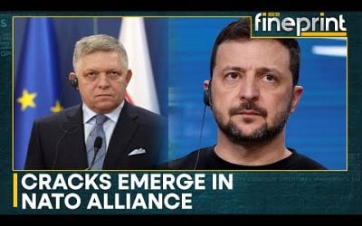 Russia-Ukraine War | Zelensky: Slovak PM Helping Putin | World News | WION Fineprint