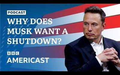 Why has Elon Musk been pushing for a government shutdown? | BBC News