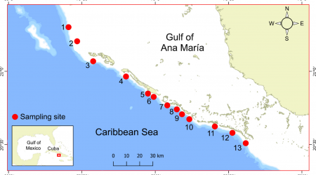 Cryptofaunal communities are influenced by benthic cover and fish abundance in a large Caribbean coral reef system