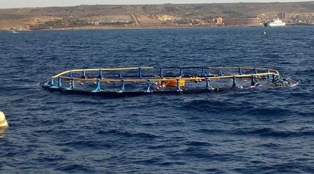 First sea shipment of tuna from Malta arrives in China