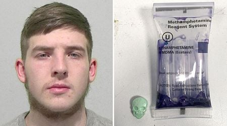 Man jailed for attempting to import 29,000 skull-shaped ecstasy tablets into UK via Snapchat deal