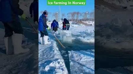 Ice farming In Norway #amazingfacts #iceland #amazing #icelandcountry