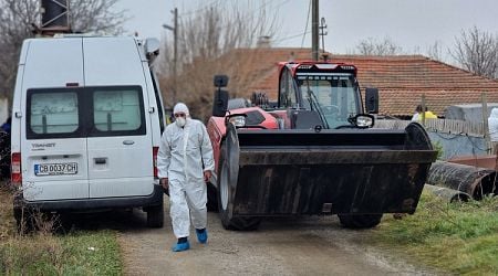 No Signs of Goat Plague and Sheeppox in Yambol Region