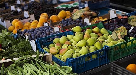 Reduced VAT on produce to stay for next year in Latvia