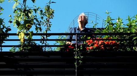 Cambridge woman turns garage roof into green oasis