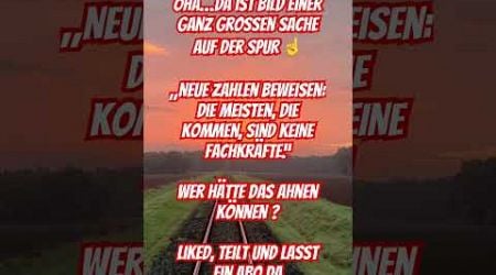 Bild deckt auf #deutschland #germany #politik #politics