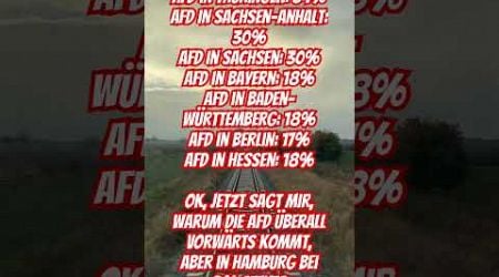 AfD weiter am wachsen #deutschland #germany #politik #politics