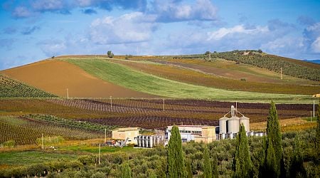 Salaparuta DOC: A Small Sicilian Denomination Crafting Wines That Belong in Your Glass