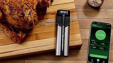 Ninja's 'extremely accurate' thermometer will help cook your Christmas turkey 'to perfection'