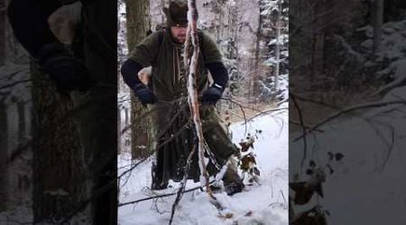 V zimnom lese - In the winter forest #slovakia #bushcraft